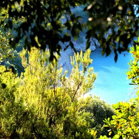 Apartment Marianni Olympiada